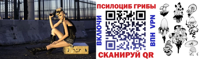 Псилоцибиновые грибы Psilocybe  Каменногорск 